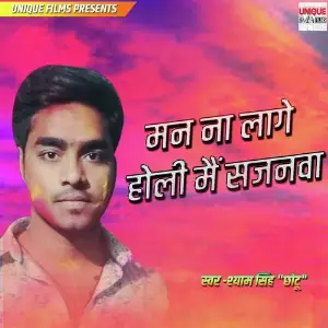 Man Na Lage Holi Me Sajanawa image