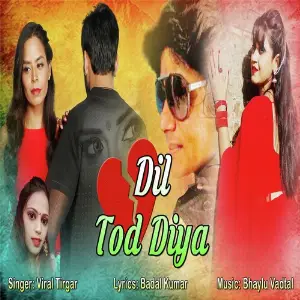 Dil Tod Diya image