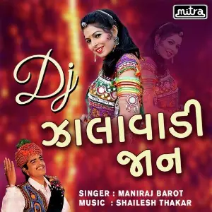 DJ Zalavadi Jaan image