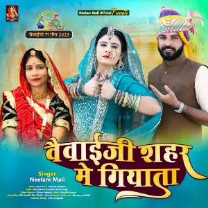 Vaivaiji Shahar Me Giyata image