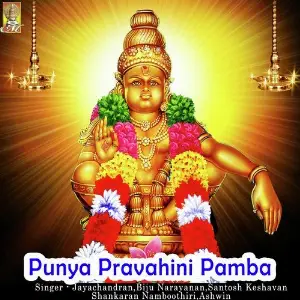 Punya Pravahini Pamba image