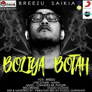 Boliya Botah - Single image
