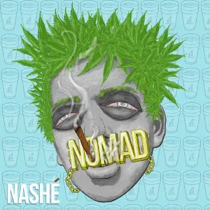 Nashe image