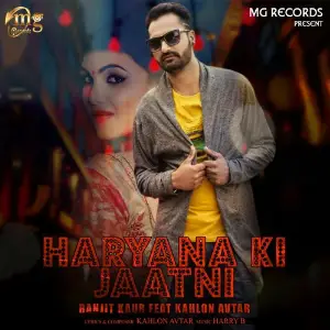 Haryana Ki Jaatni image