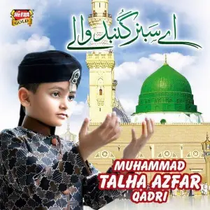 Aye Sabz Gumbad Walay image