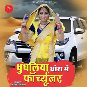 Dhundaliya Dhora Mai image
