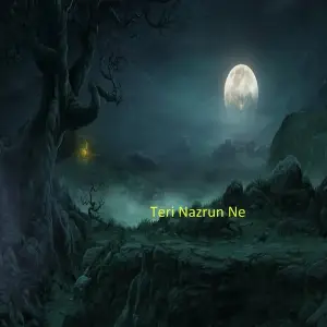 Teri nazrun ne Toshi Sabri