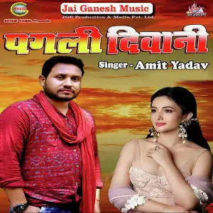 Pankaj Kesari - Hum Hai Hiro Hiralal Amit Yadav