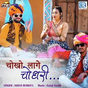 Choko Lage Choudhary image