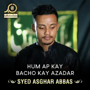 Hum Ap Kay Bacho Kay Azadar - Single image