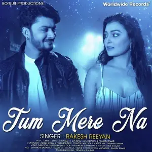 Tum Mere Na image