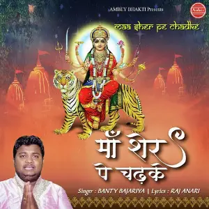Maa Sher Pe Chadke image