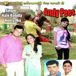 Andy Pees image