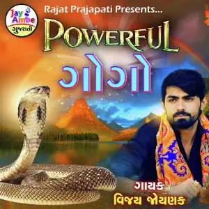 PowerFull Gogo image