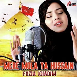 Mere Mola Ya Hussain image