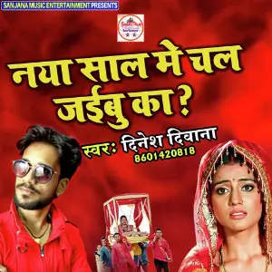 Nya Sal Me Chal Jaibu Ka image