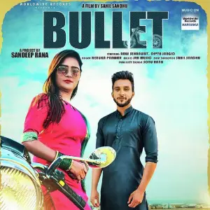 Bullet image