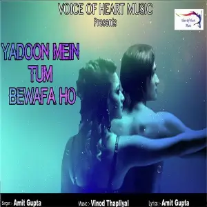 Yadoon Mein Tum Bewafa Ho image