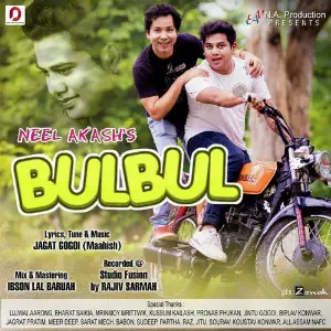 Bulbul - Single image
