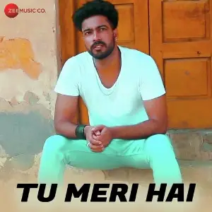 Tu Meri Hai image
