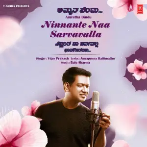 Ninnante Naa Sarvavalla (From Amrutha Bindu) image