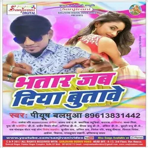 Bhatar Jab Diya Butabe image