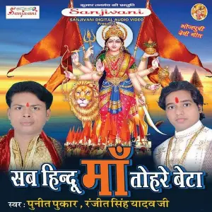 Sab Hindu Maa Tohare Beta image