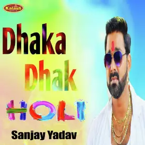 Dhaka Dhak Holi image