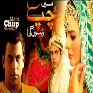 Tum Ne Mujhe Ruswa Kia (From Main Chup Rahongi) image