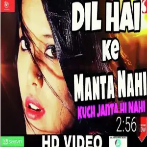 Dil Hai Ke Manta Nahi image