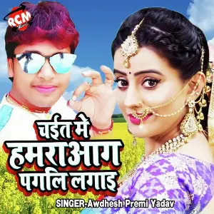 Chita Me Aag Hamra Pagli Lagai Re image