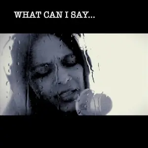 What Can I Say image