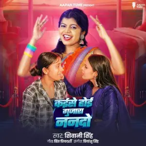 Kaise Hoi Gujara Nanado image