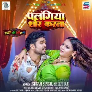 Palangiya Shor Karata (From Saas Ki Sautan) image