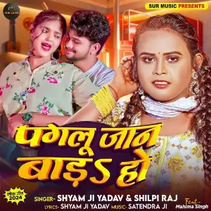 Paglu Jaan Bada Ho image