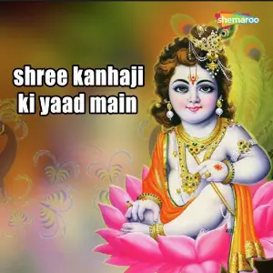 Shree Kanhaji Ki Yaad Main image