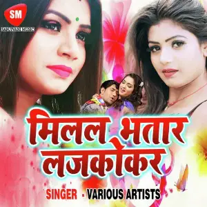 Milal Bhatar Lajkhokar image