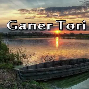 Ganer Tori image