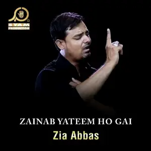Zainab Yateem Ho Gai - Single image