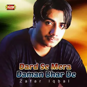 Dard Se Mera Daman Bhar De image