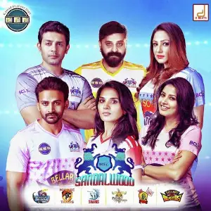 Box Cricket League image