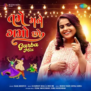 Tame Mane Gamo Cho - Garba Mix image