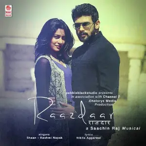 Raazdaar image
