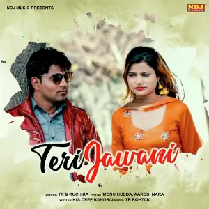 Teri Jawani image