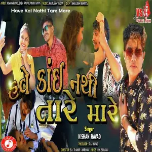 Have Kai Nathi Tare Mare image