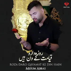 Roza Daro Qayamat Ke Din Hain - Single image
