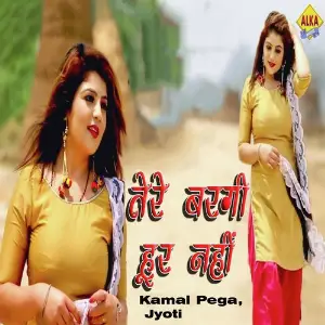 Tere Bargi Hoor Nahi image