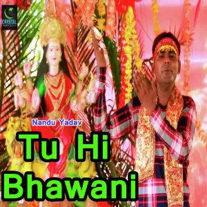 Tu Hi Bhawani image