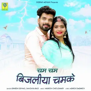 CHAM CHAM BIJALIYA CHAMKE image
