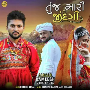 Tuj Maari Zindagi image